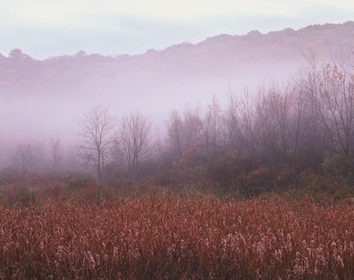 Foggy Marsh, Sparta Mountains, Sussex County, NJ (MF).jpg Foggy Marsh, Sparta Mountains, Sussex County, NJ (MF).jpg